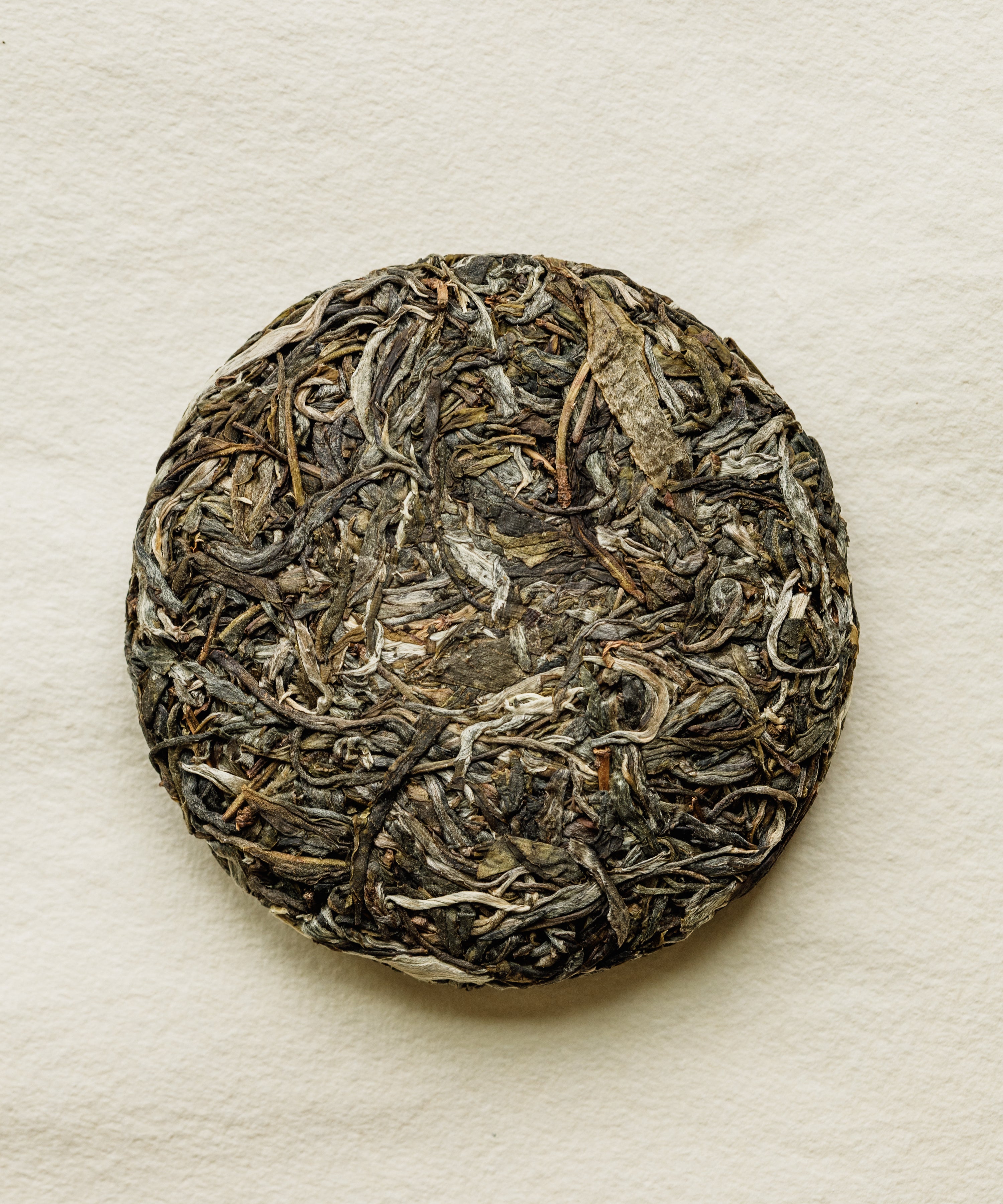 Pine & Moon pressed sheng pu'erh cake on white paper, top view