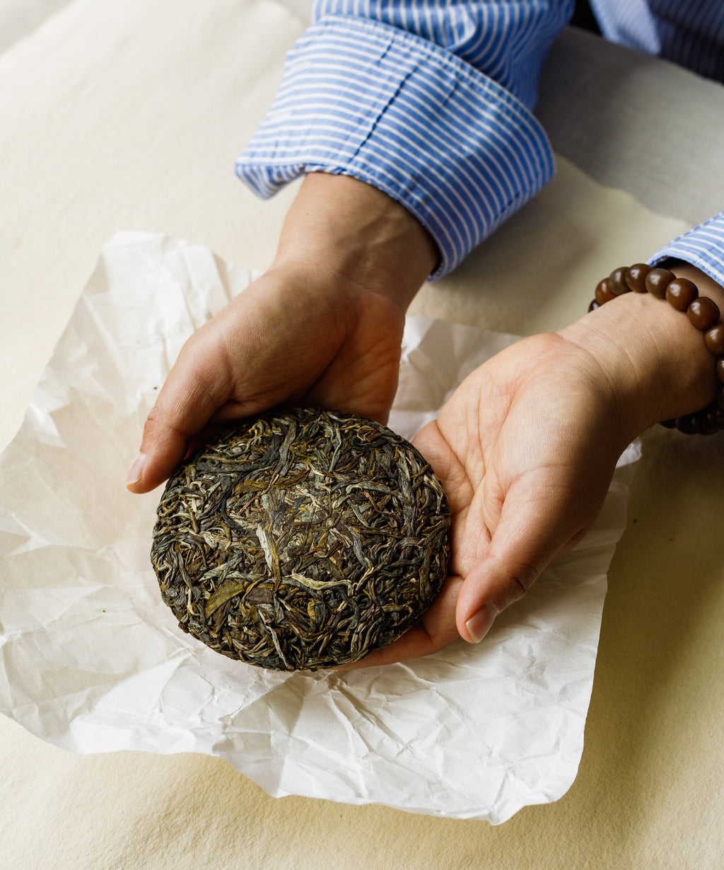 Jiutaipo Ancient Tree dry pu'erh leaves on dish — Mengku Big-Leaf varietal from 6000 ft elevation