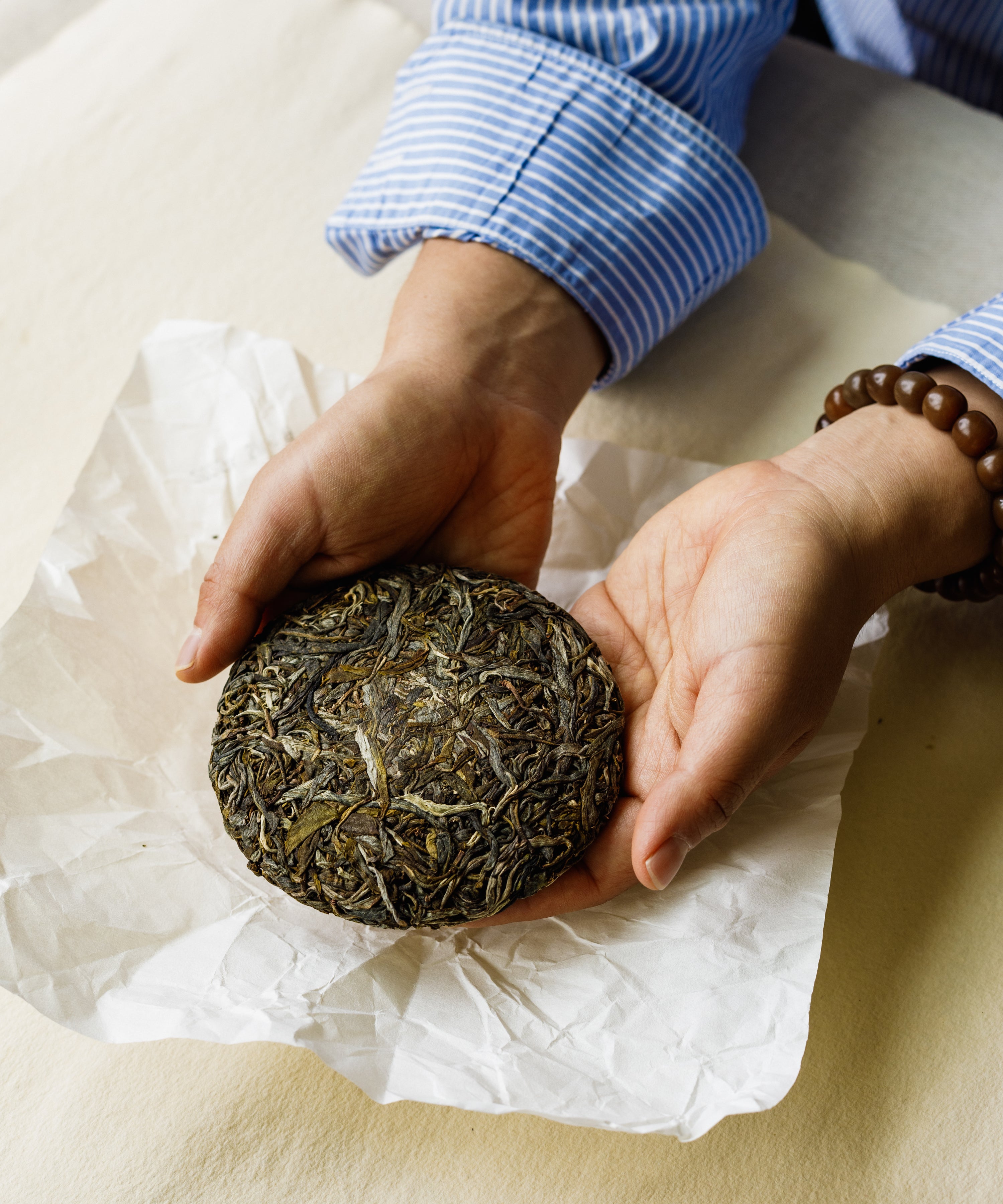 Jiutaipo Ancient Tree dry pu'erh leaves on dish — Mengku Big-Leaf varietal from 6000 ft elevation