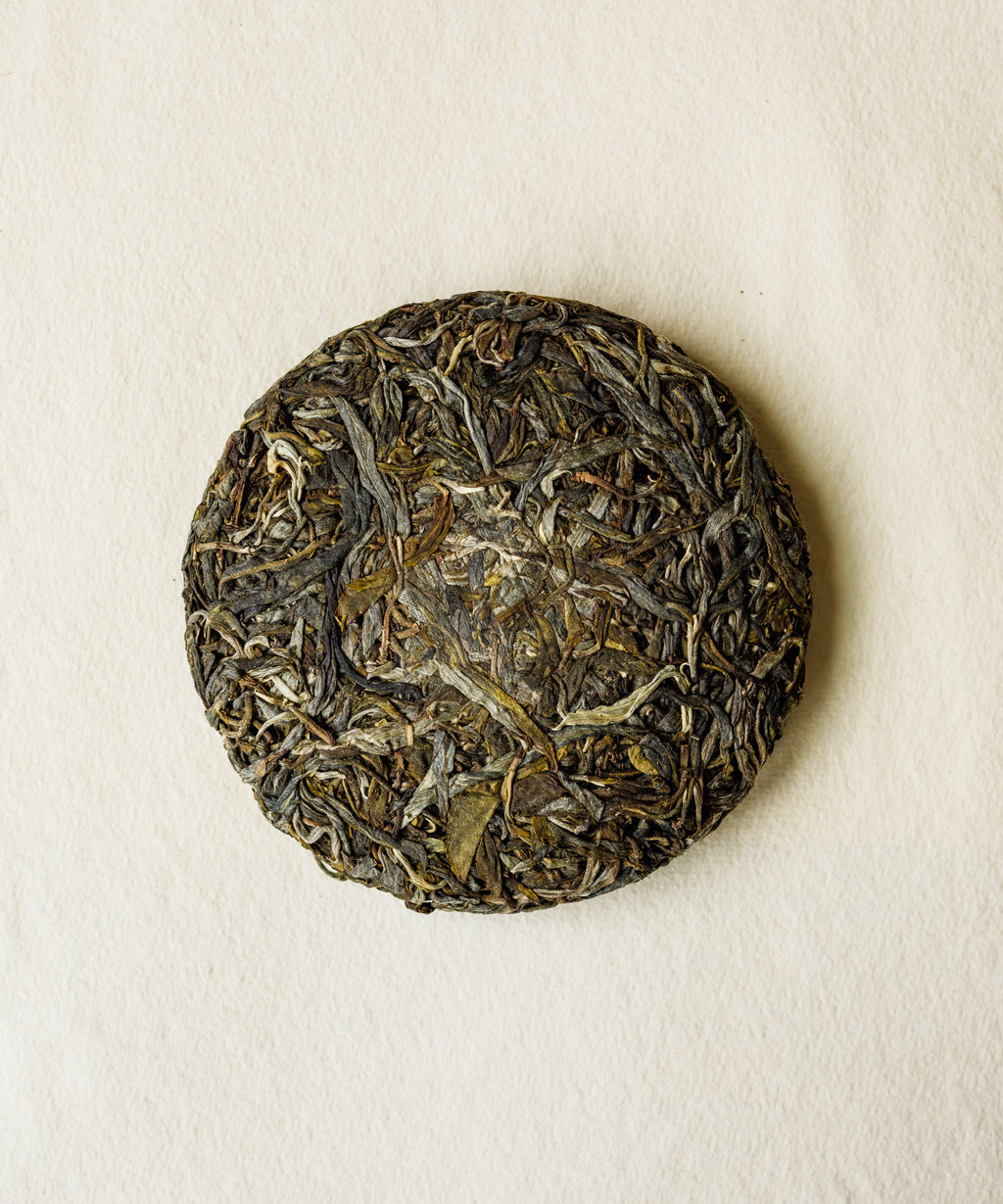 Brewing Jiutaipo Ancient Tree pu'erh in gaiwan — semi-wild trees from remote village of 41 households