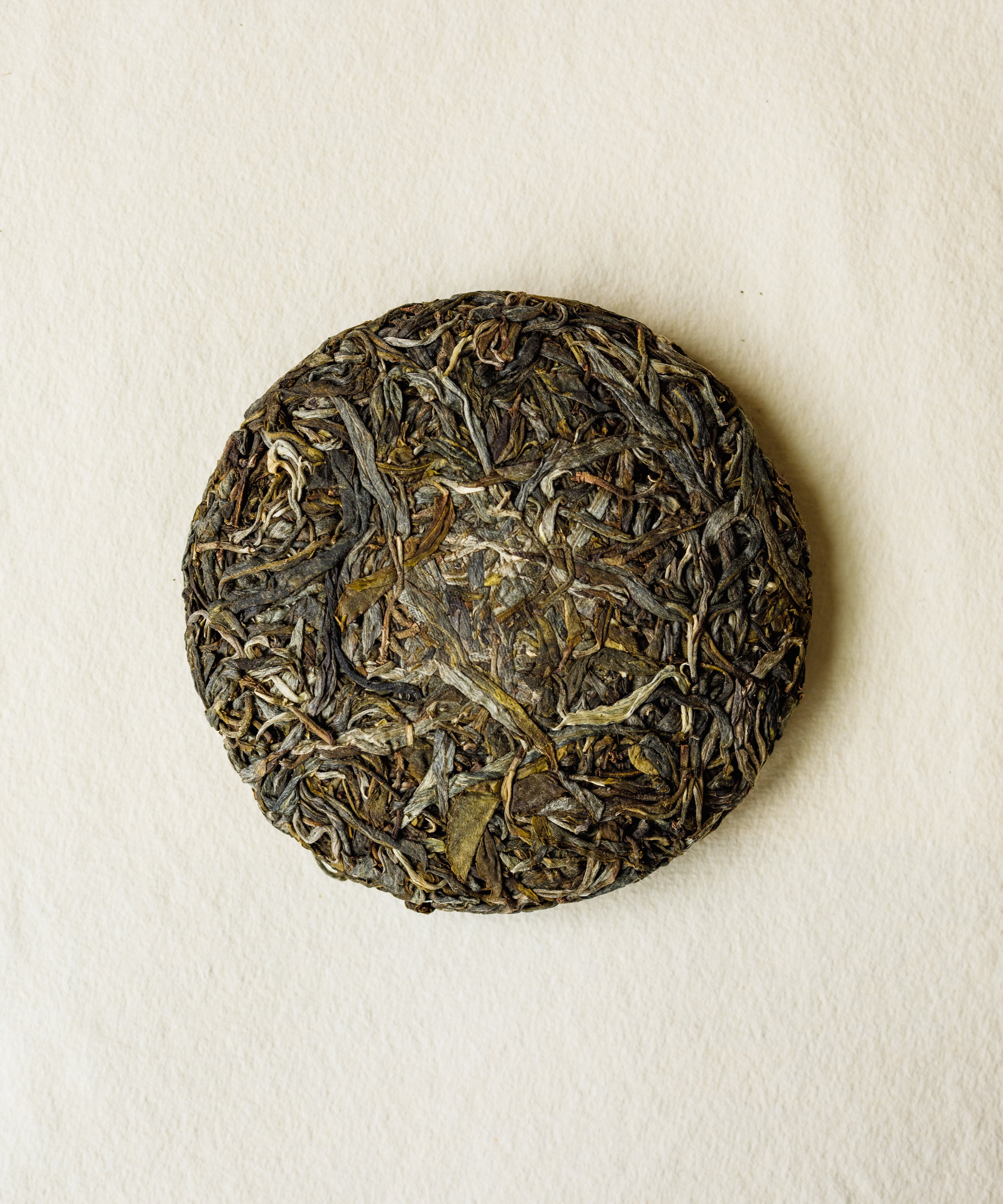 Brewing Jiutaipo Ancient Tree pu'erh in gaiwan — semi-wild trees from remote village of 41 households