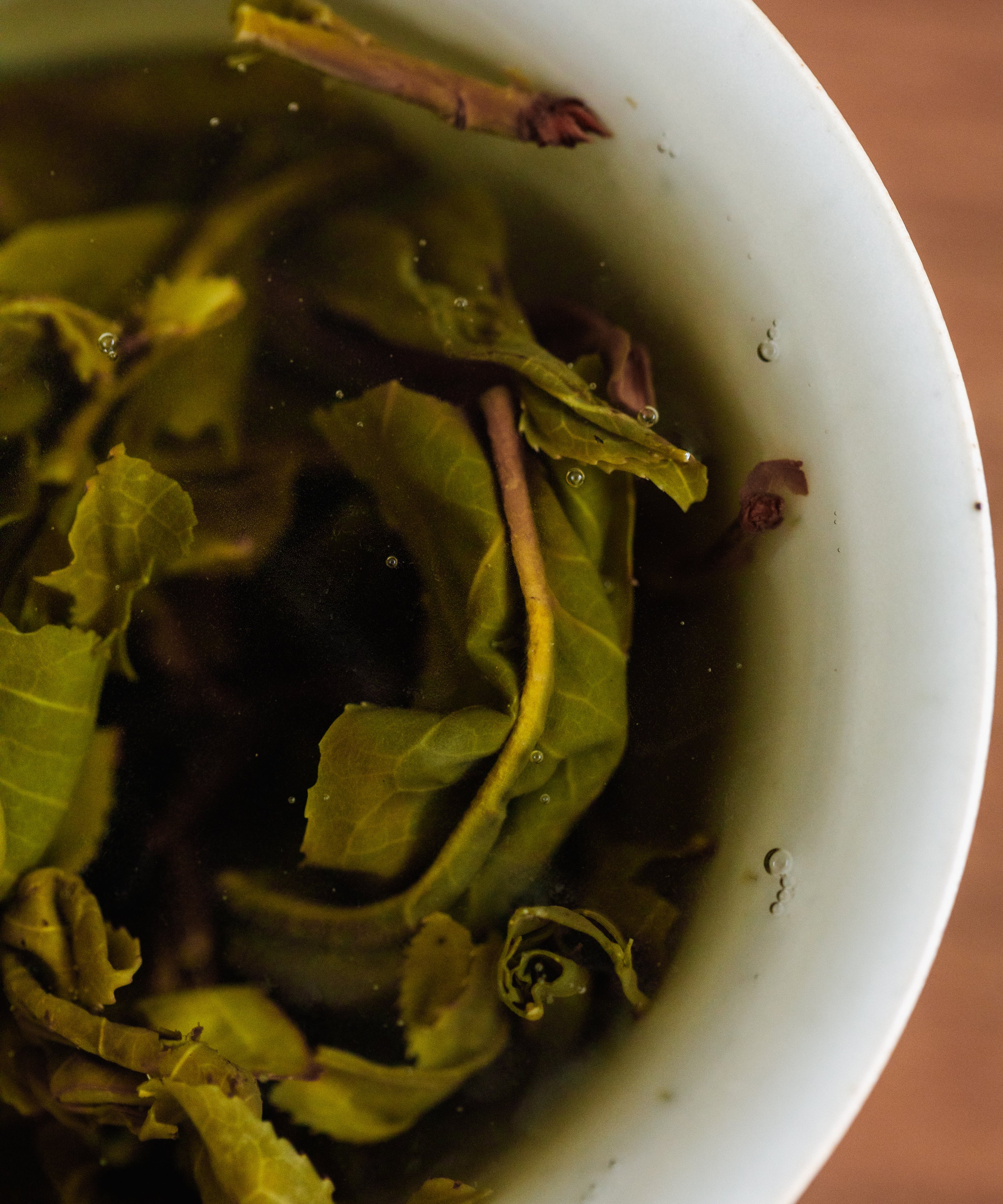 Jiutaipo pu'erh pressed cake — ancient tree raw pu'erh from Jinggu's most remote tea gardens