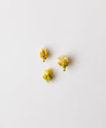 Three dried plum blossoms from 60-100 year old wild Huangshan Mountain trees on a white surface
