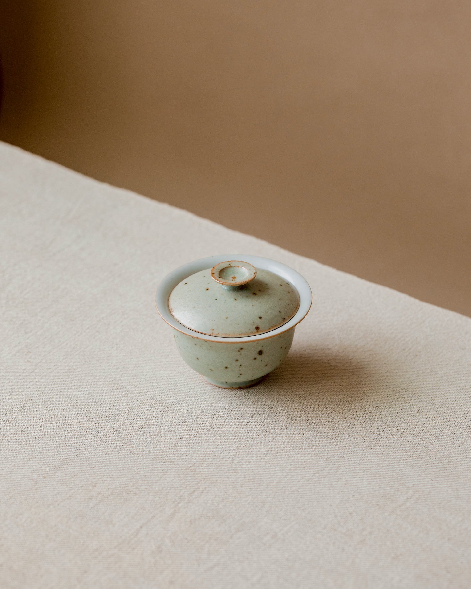 Gaiwan Faded Robin's Egg Small in hand, pastel aqua with dark variegated dots, Wang Xinghua gongfu teaware