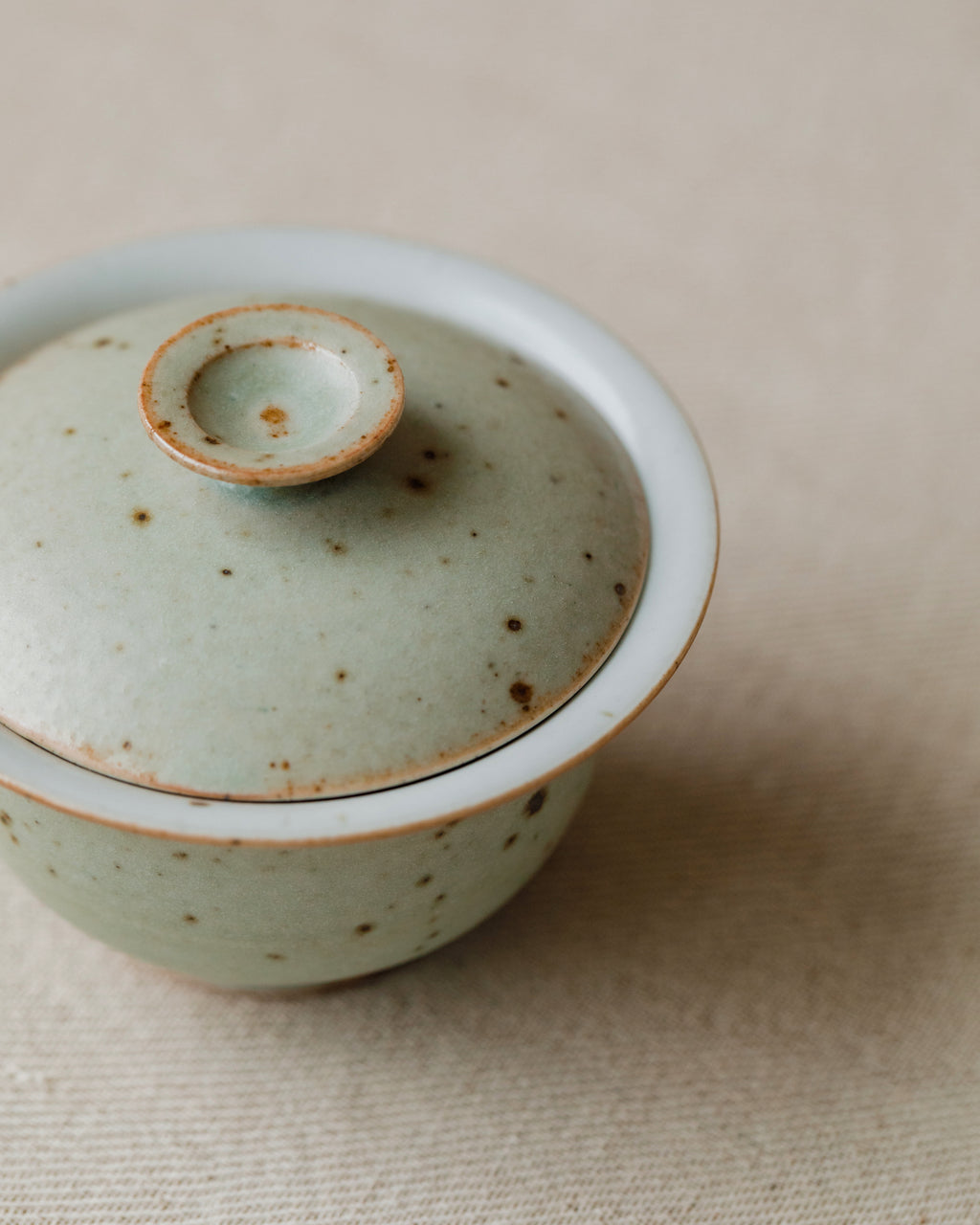 Gaiwan Faded Robin's Egg Small interior, speckled aqua glaze, handcrafted by Wang Xinghua, Jingdezhen