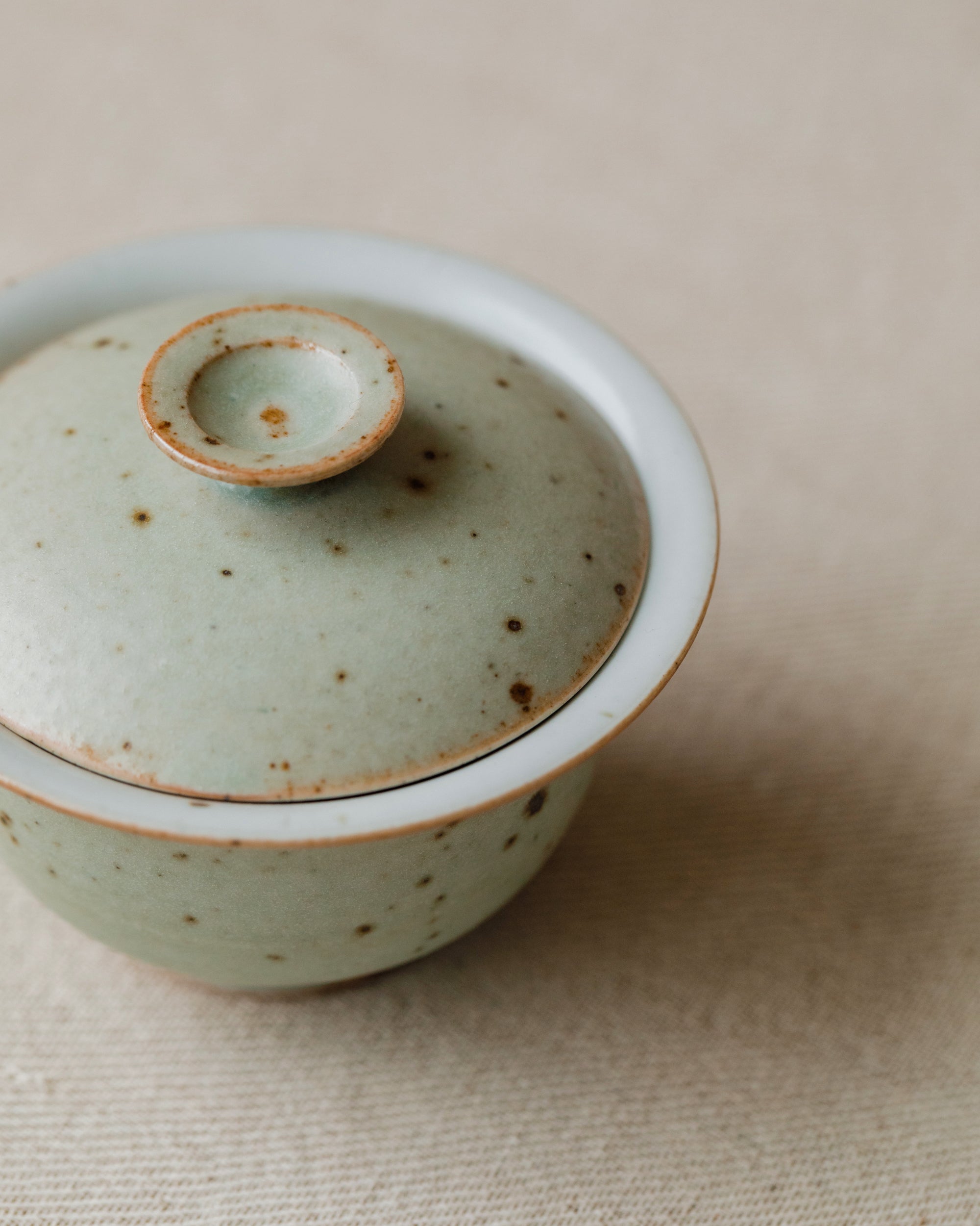 Gaiwan Faded Robin's Egg Small interior, speckled aqua glaze, handcrafted by Wang Xinghua, Jingdezhen