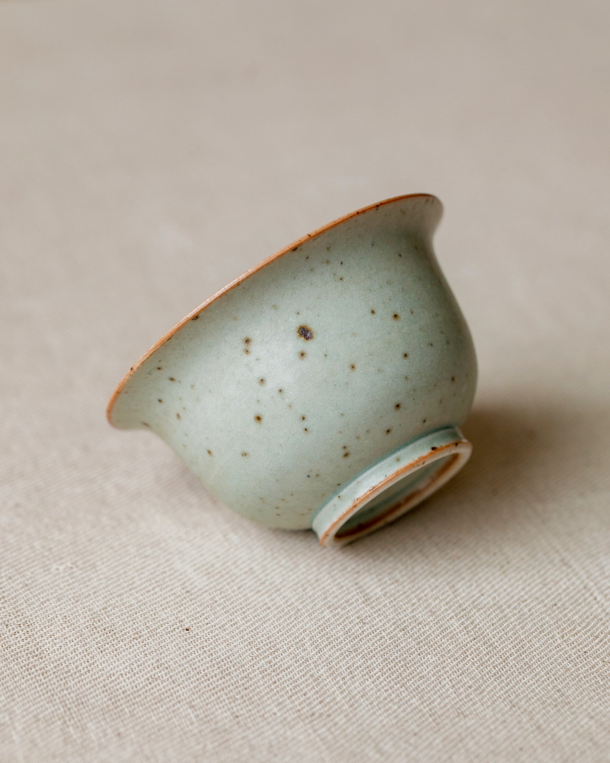 Gaiwan Faded Robin's Egg Small lid detail, dark speckles on pastel aqua, Jingdezhen clay and porcelain
