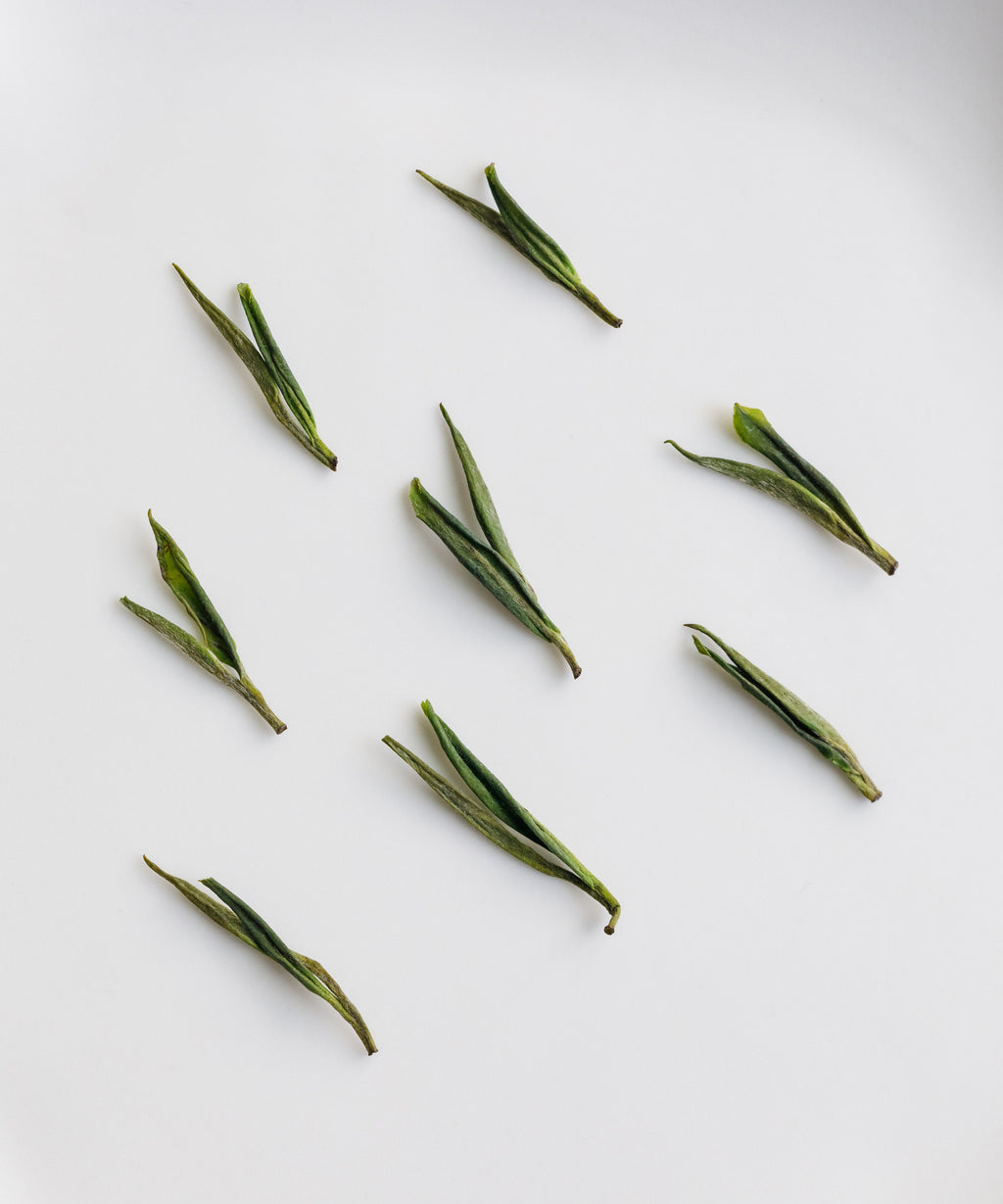 Anji Baicha leaves scattered on a white surface in arrangement