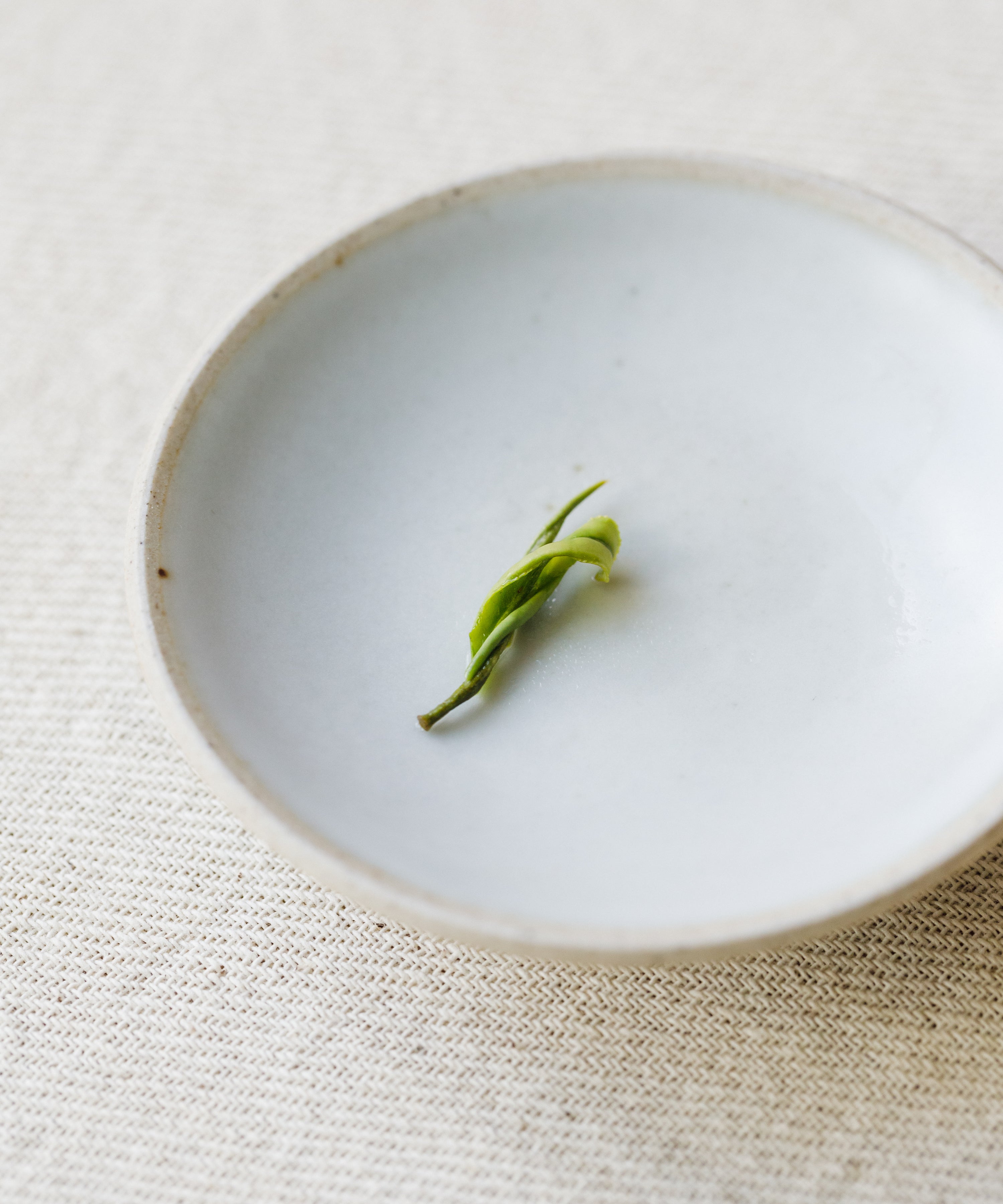 Brewed Anji Baicha in a white bowl, pale yellow-green liquor with a single leaf