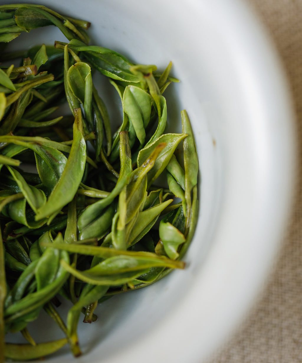Wet Anji Baicha leaves in a white bowl after the first infusion
