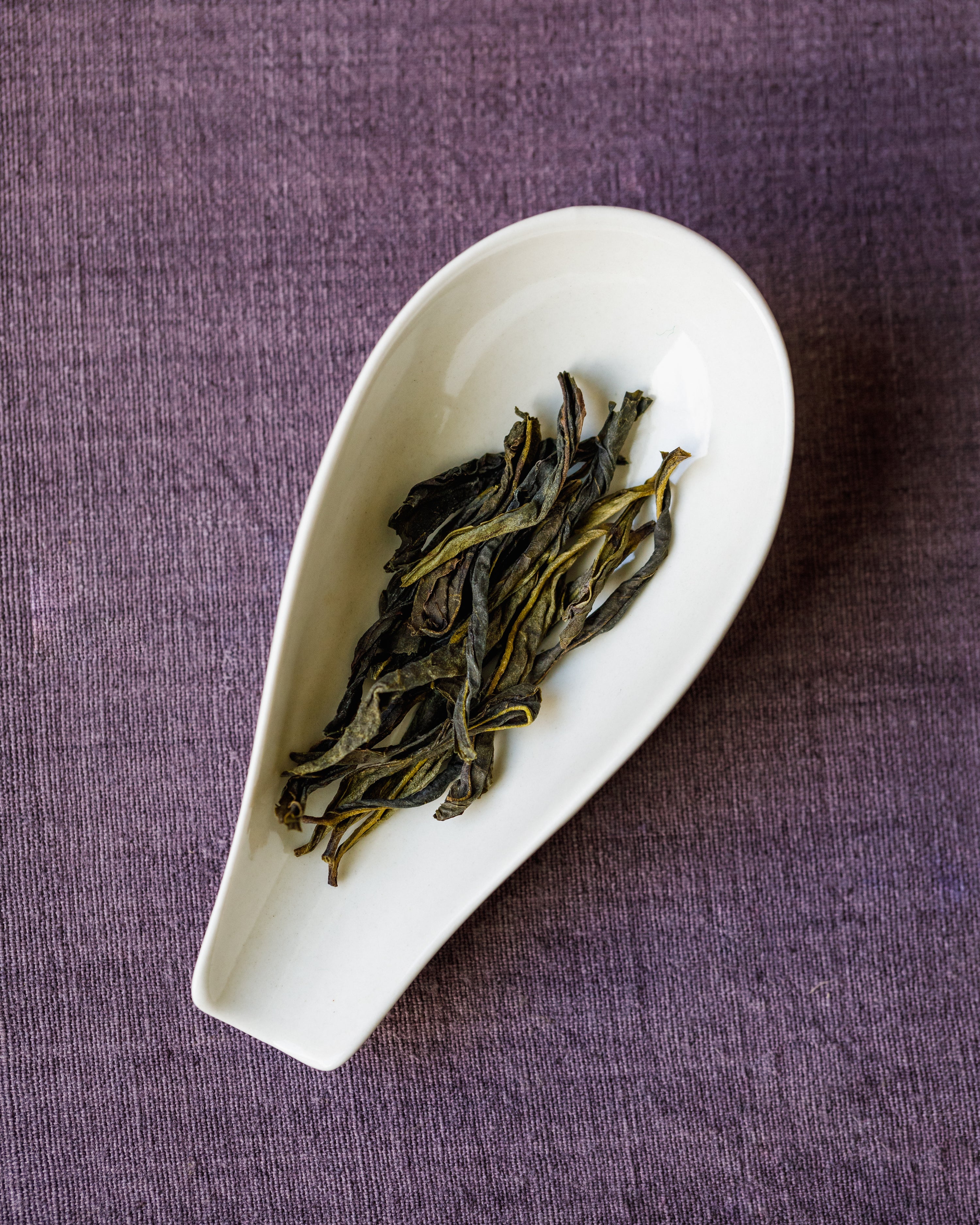 Brewing Snow Flake Da Wu Ye in a gaiwan, winter harvest oolong from natural tea farm, Fenghuang County