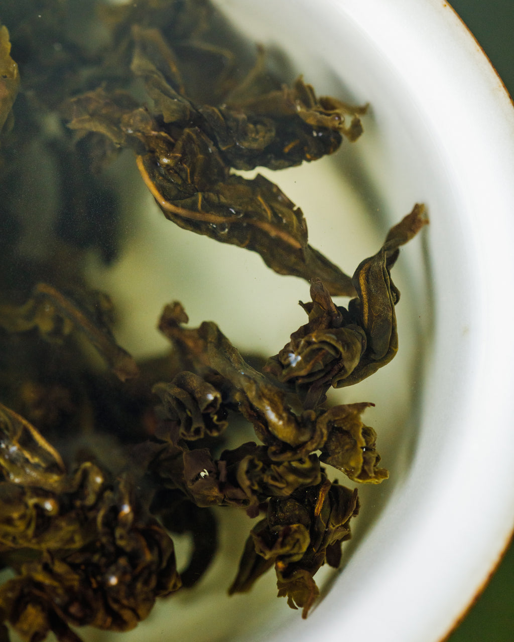 Brewing Autumn Tieguanyin — Master Wu Xiaoquan's traditional oolong, Shimen Village, Gande, Anxi, Fujian