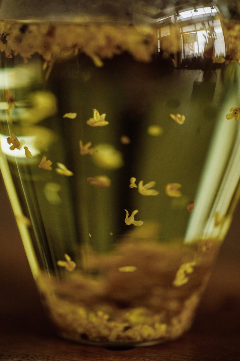Gold Osmanthus flowers steeping in hot water, releasing intense fruity aroma