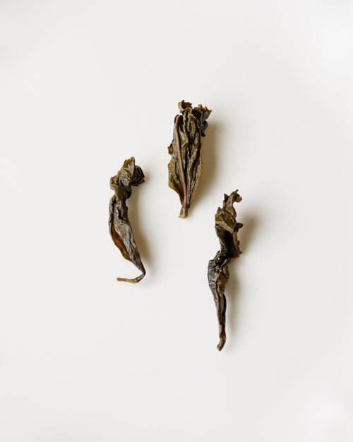 Autumn Tieguanyin by Master Wu Xiaoquan — traditional charcoal-baked oolong from Shimen Village, Anxi, Fujian