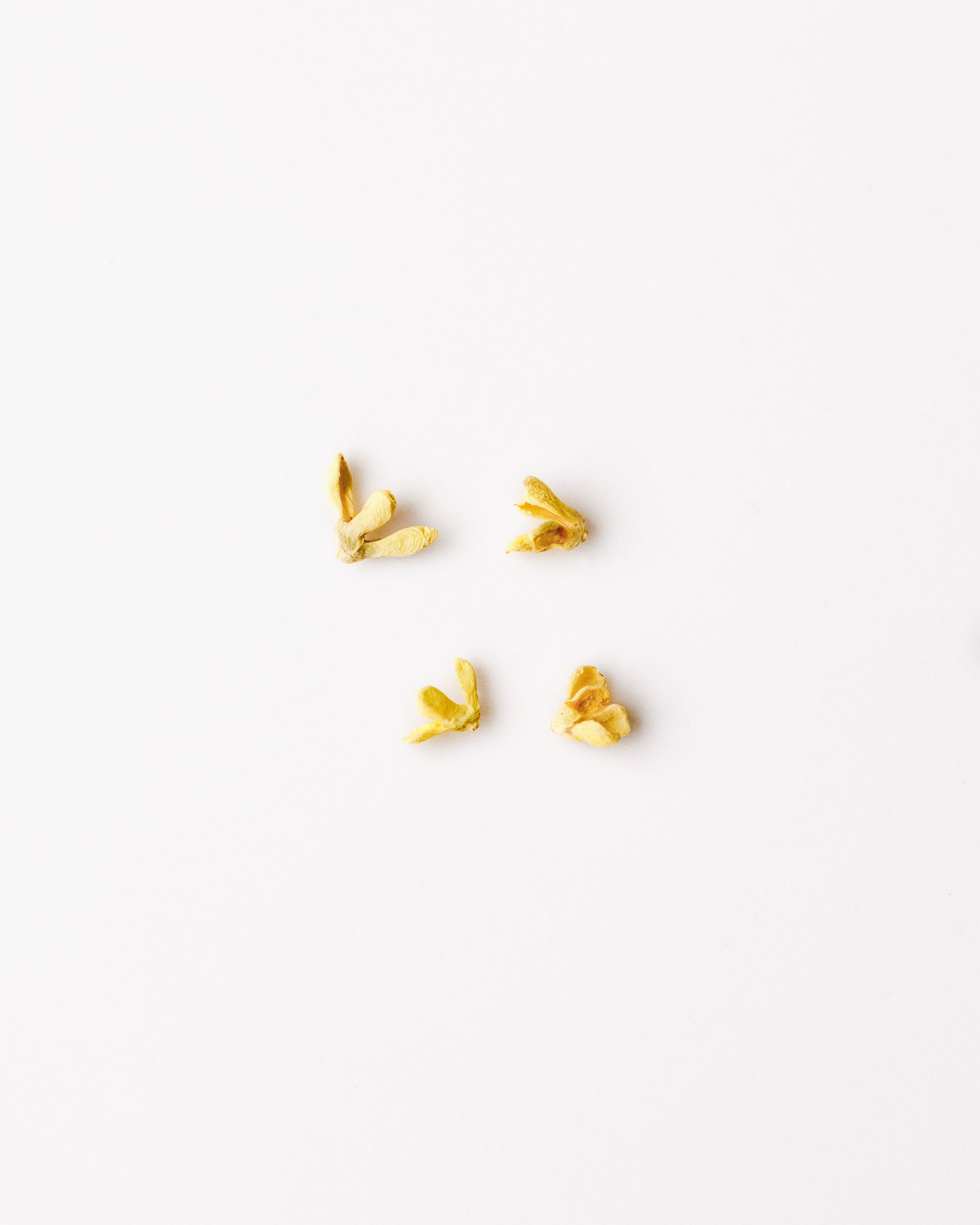 Whole freeze-dried Gold Osmanthus flowers from Fangting Village, Anxi - centuries-old trees by Wang Nianping