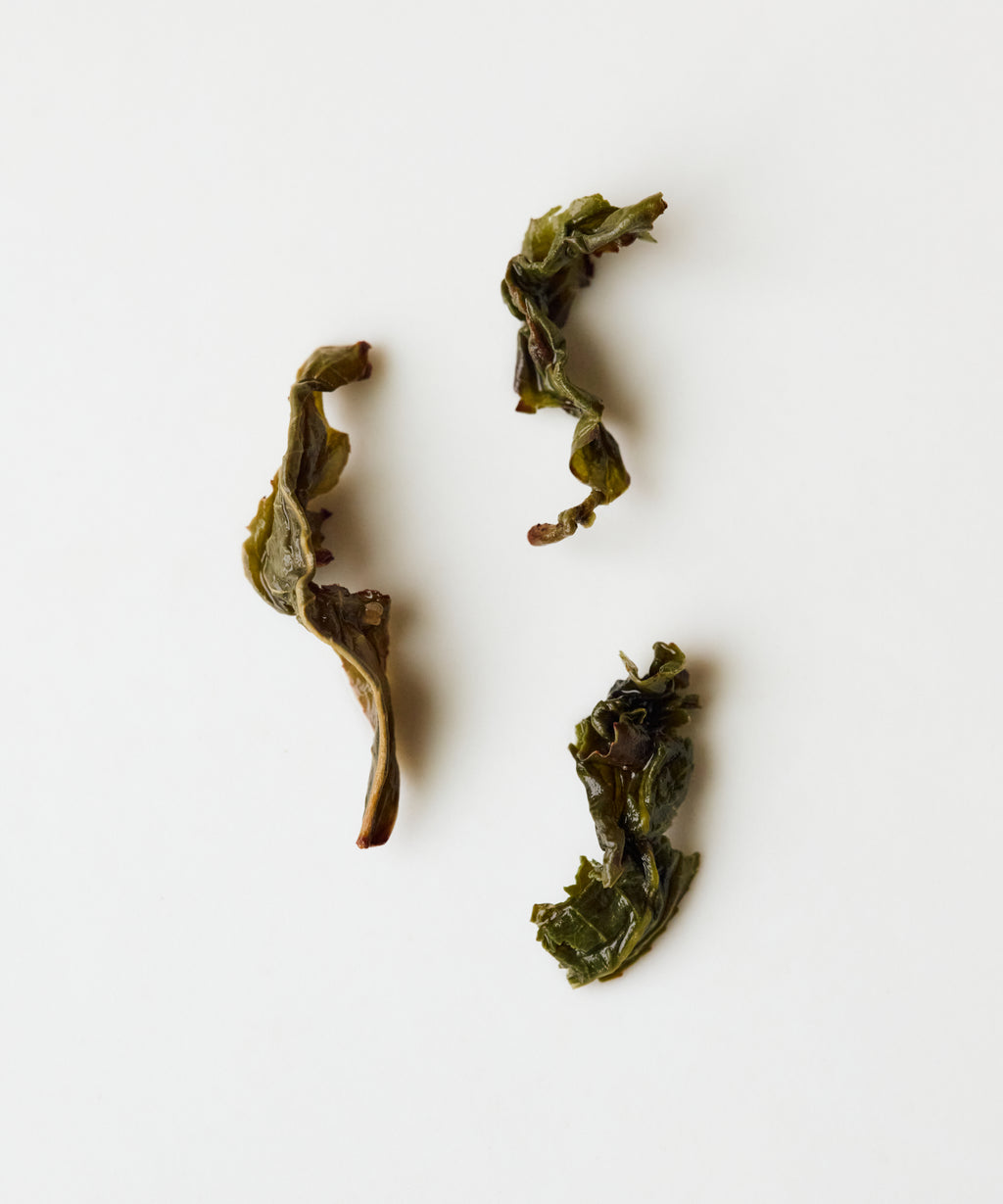 Golden Cassia oolong by Master Lin Zhenwen — charcoal roasted Anxi oolong from Meizhuang Village, Fujian