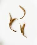 Green Peony white tea by Mr. Tang — first harvest Jinggu Big White leaves, Jinggu, Yunnan
