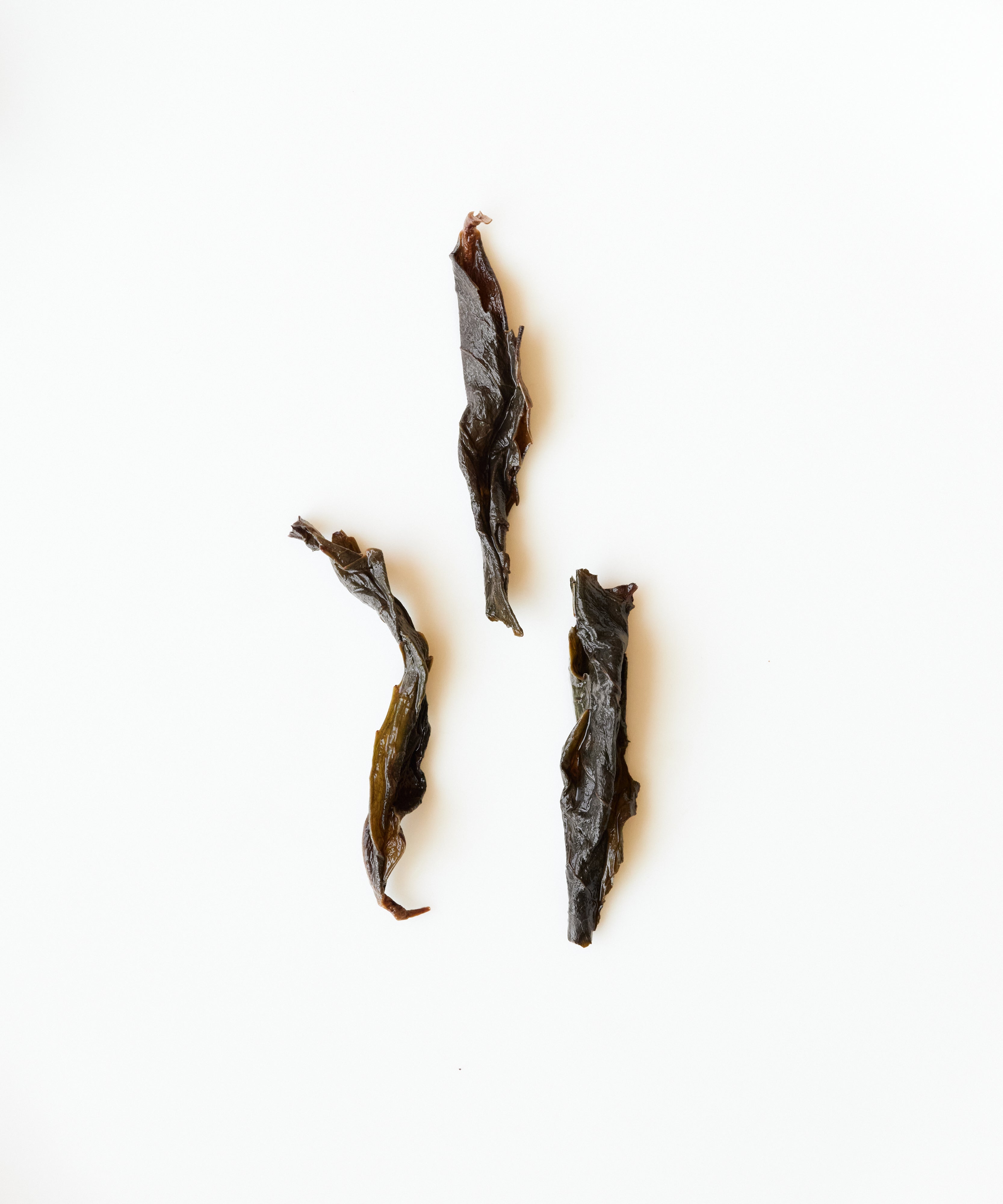 Jade Qilin leaf