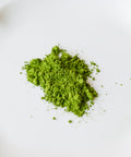 Conifer green Tsuyu Hikari matcha powder from Yame, Fukuoka - Velvet 7 single-cultivar shincha with sugar crystal and electric finish