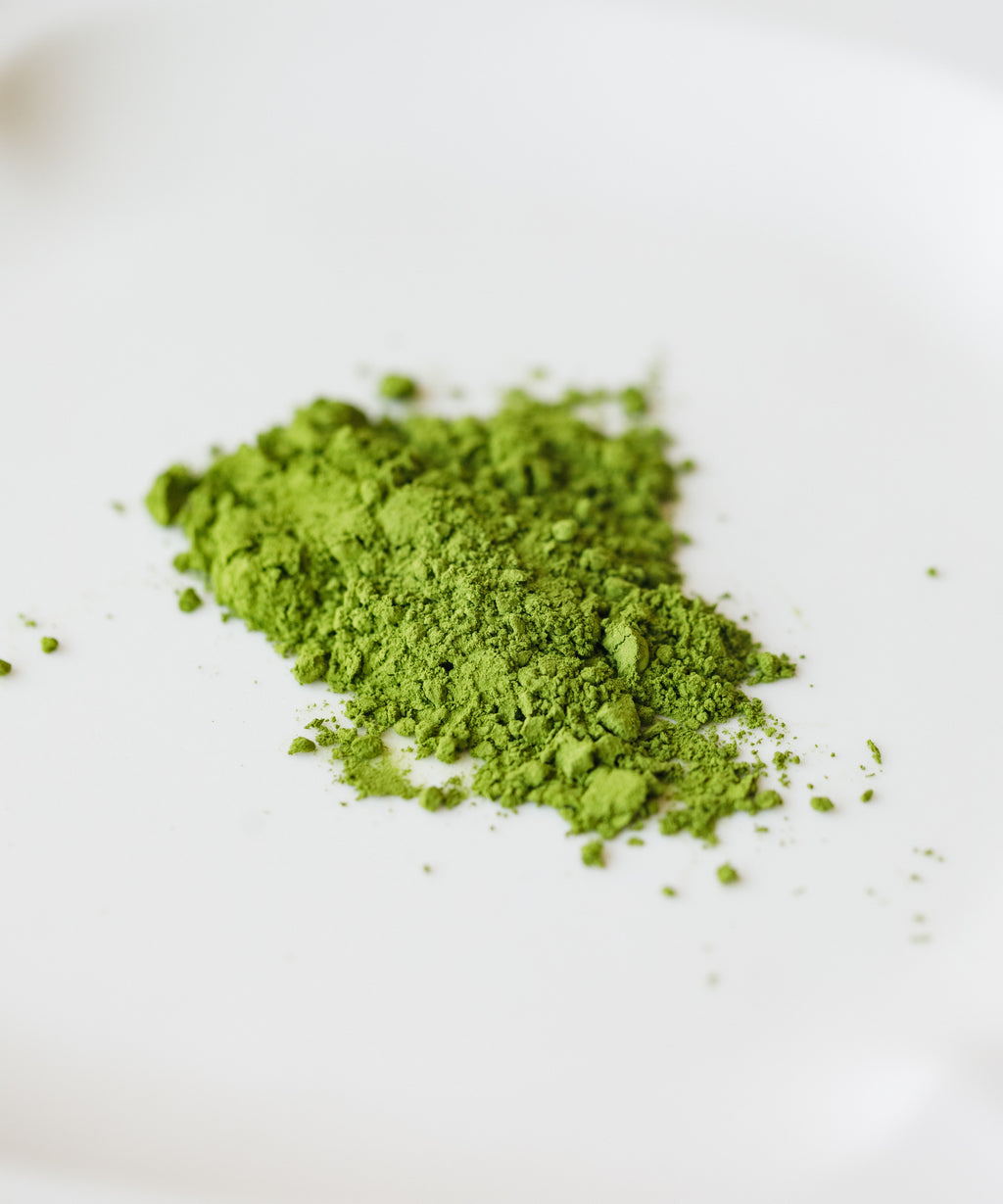 Fern green Saeakari matcha powder from Yame, Fukuoka - Velvet 7 single-cultivar shincha with popcorn and walnut notes