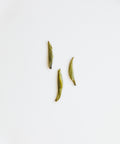 Gardenia Bird's Tongue scented green tea — 7 rounds wild gardenia scenting, Mengding Mountain, Sichuan