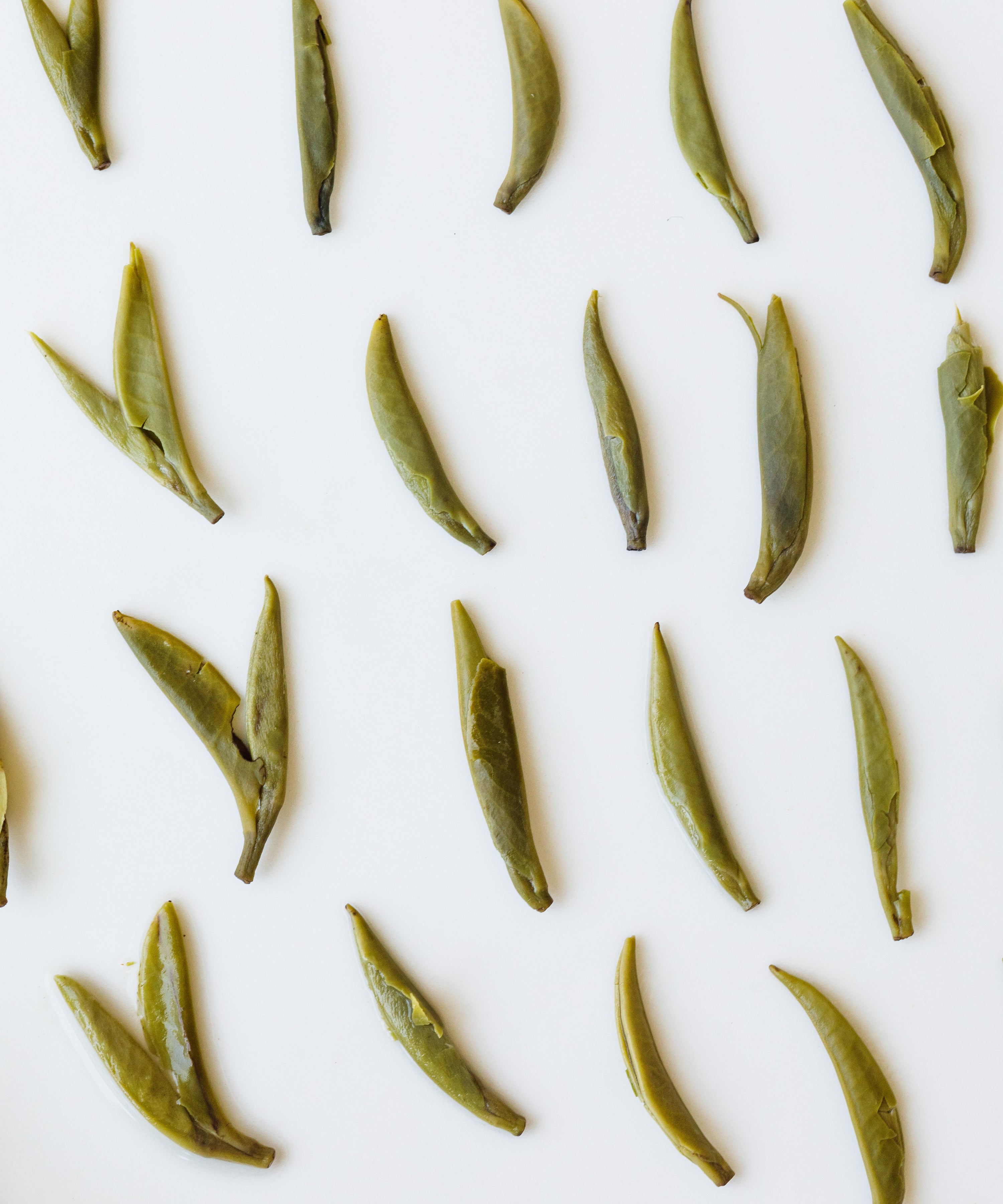 Brewed Gardenia Bird's Tongue in cup — lemony meringue finish, rare experimental flower tea from Sichuan