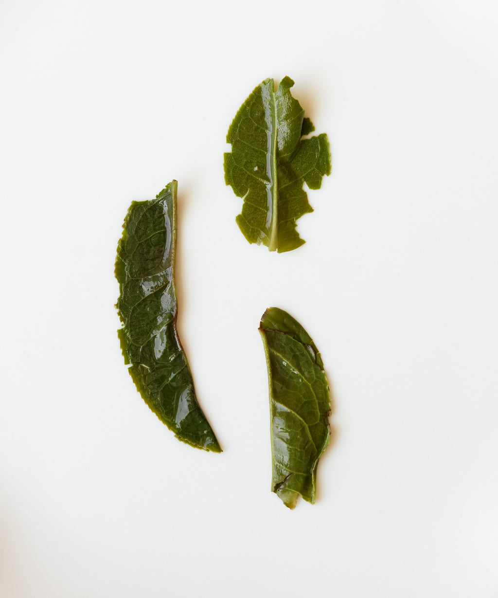 Melon Flake leaf