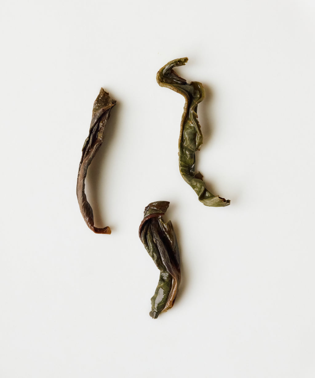 Molixiang Jasmine Fragrance old grove Phoenix oolong from Fengxi Mountain, Wudong, Chaozhou, Guangdong