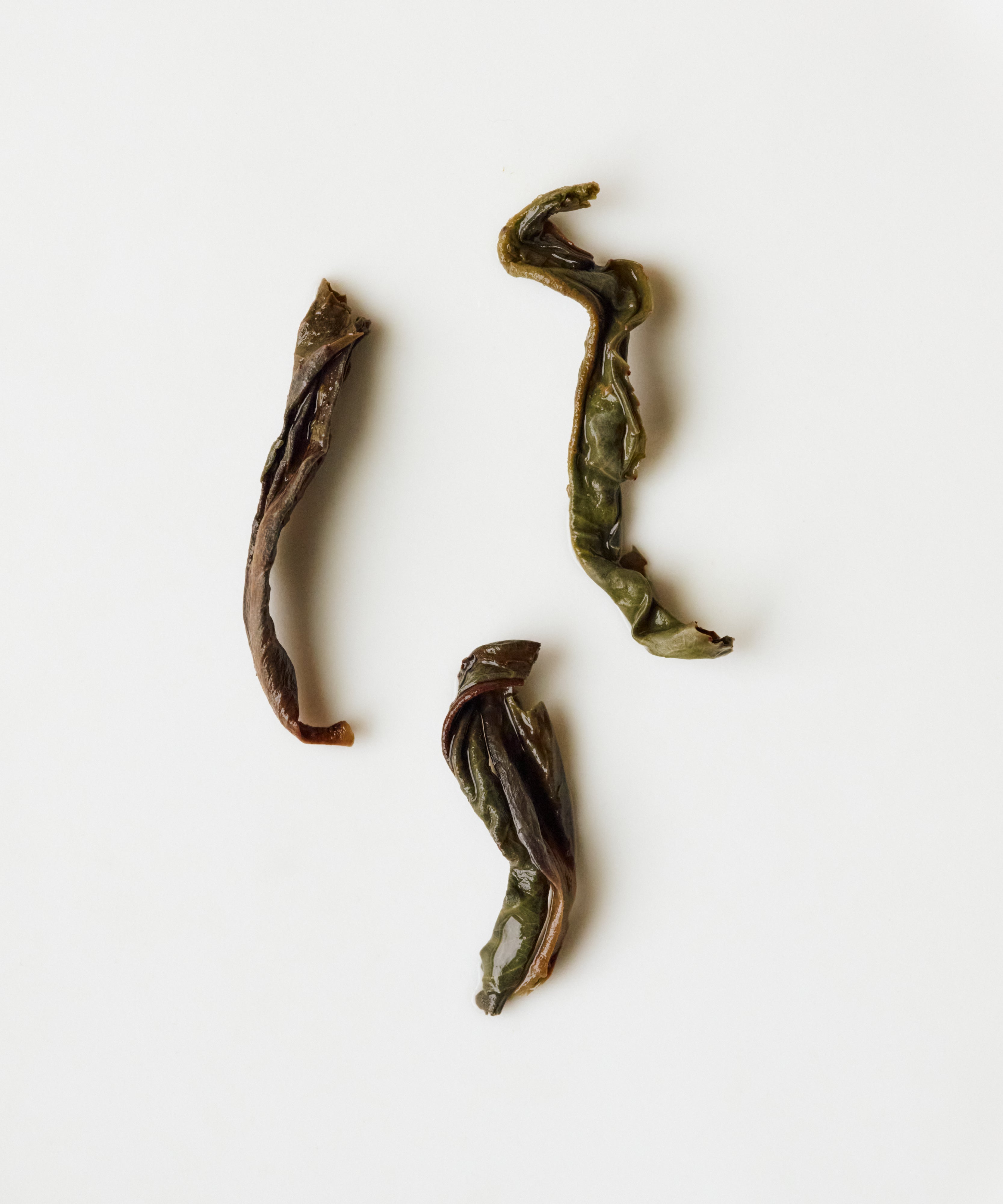 Molixiang Jasmine Fragrance old grove Phoenix oolong from Fengxi Mountain, Wudong, Chaozhou, Guangdong