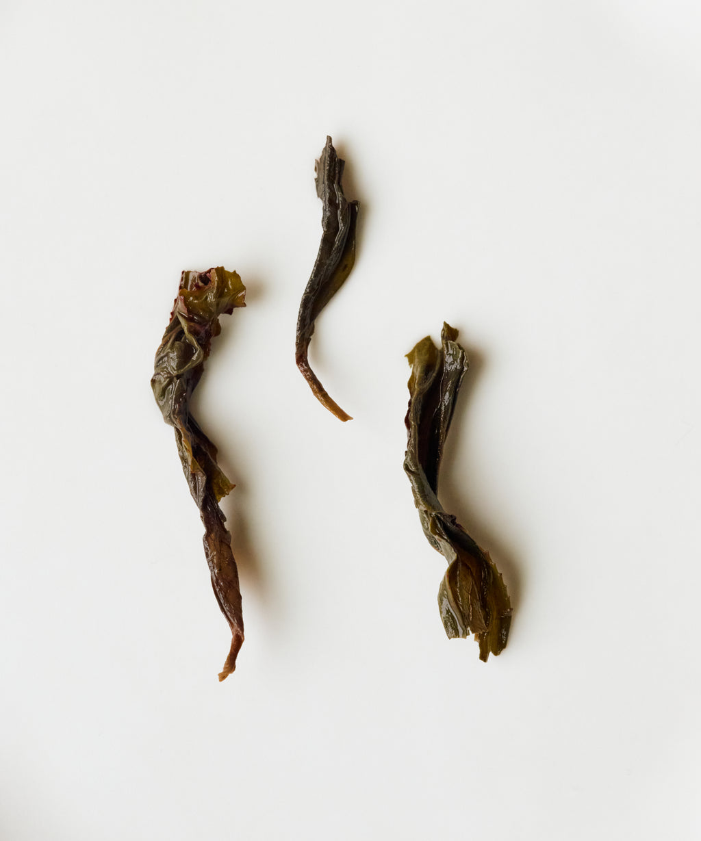 Old Grove Shuixian from White Crane Mountain — semi-wild Yongchun oolong, low-heat baked 30+ hours, Fujian