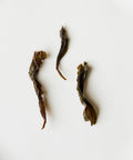 Old Grove Shuixian from White Crane Mountain — semi-wild Yongchun oolong, low-heat baked 30+ hours, Fujian