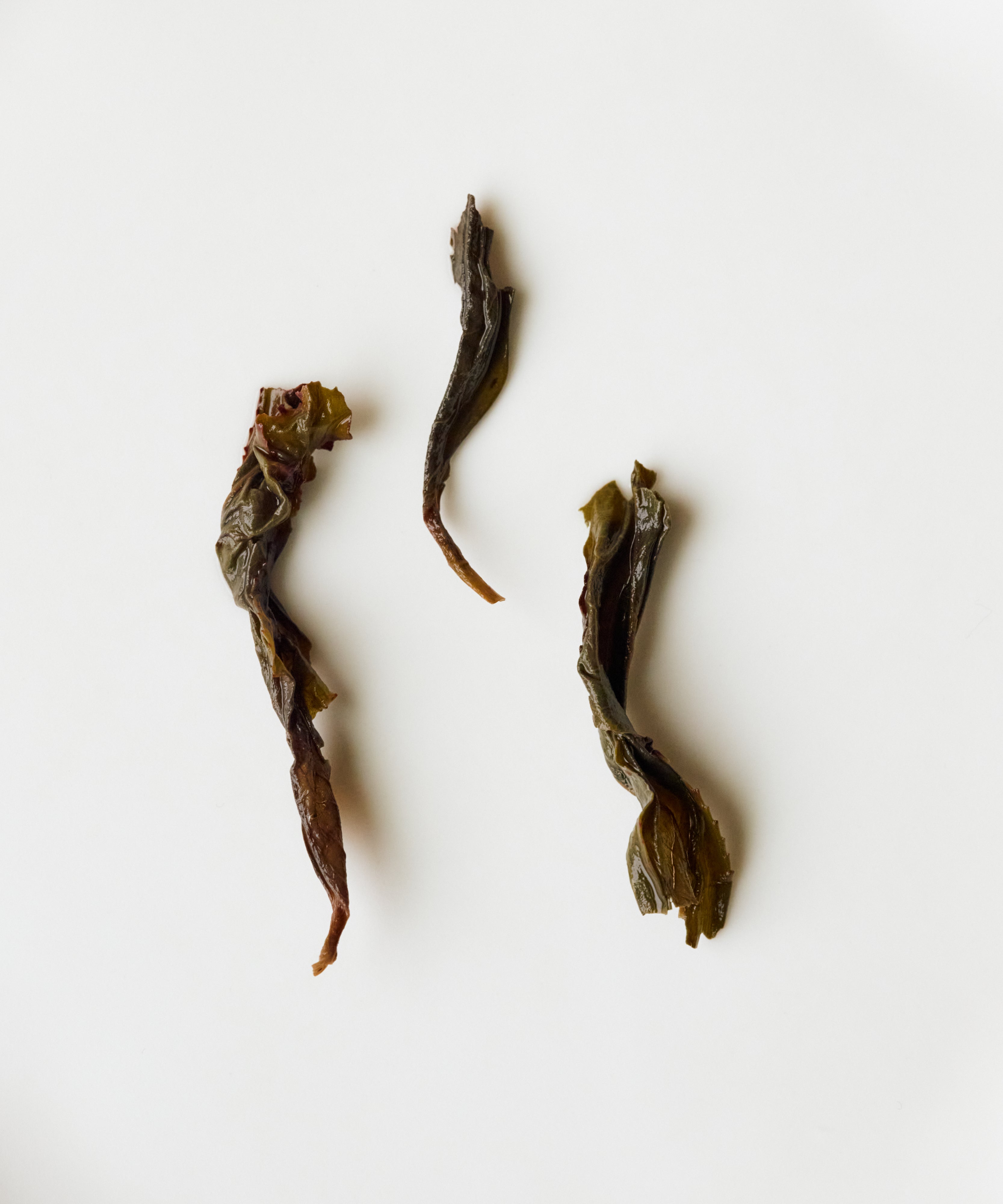 Old Grove Shuixian from White Crane Mountain — semi-wild Yongchun oolong, low-heat baked 30+ hours, Fujian
