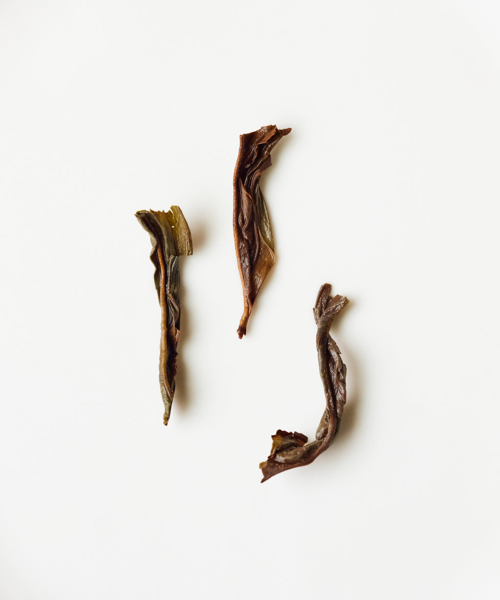 Old Tree Baiye Red — Lingtou Phoenix dancong oolong from Raoping, Chaozhou, Guangdong