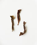 Old Tree Baiye Red — Lingtou Phoenix dancong oolong from Raoping, Chaozhou, Guangdong