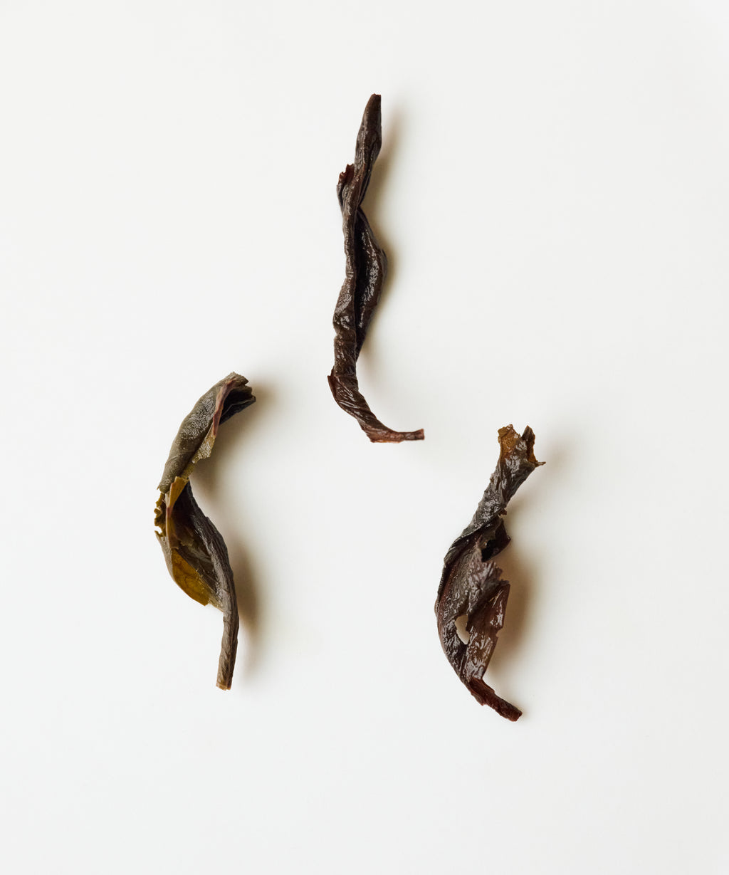 Organic Shuixian rock oolong by Fan Zhiqiang — regenerative farm Shuixian from Xingcun, Wuyishan, Fujian