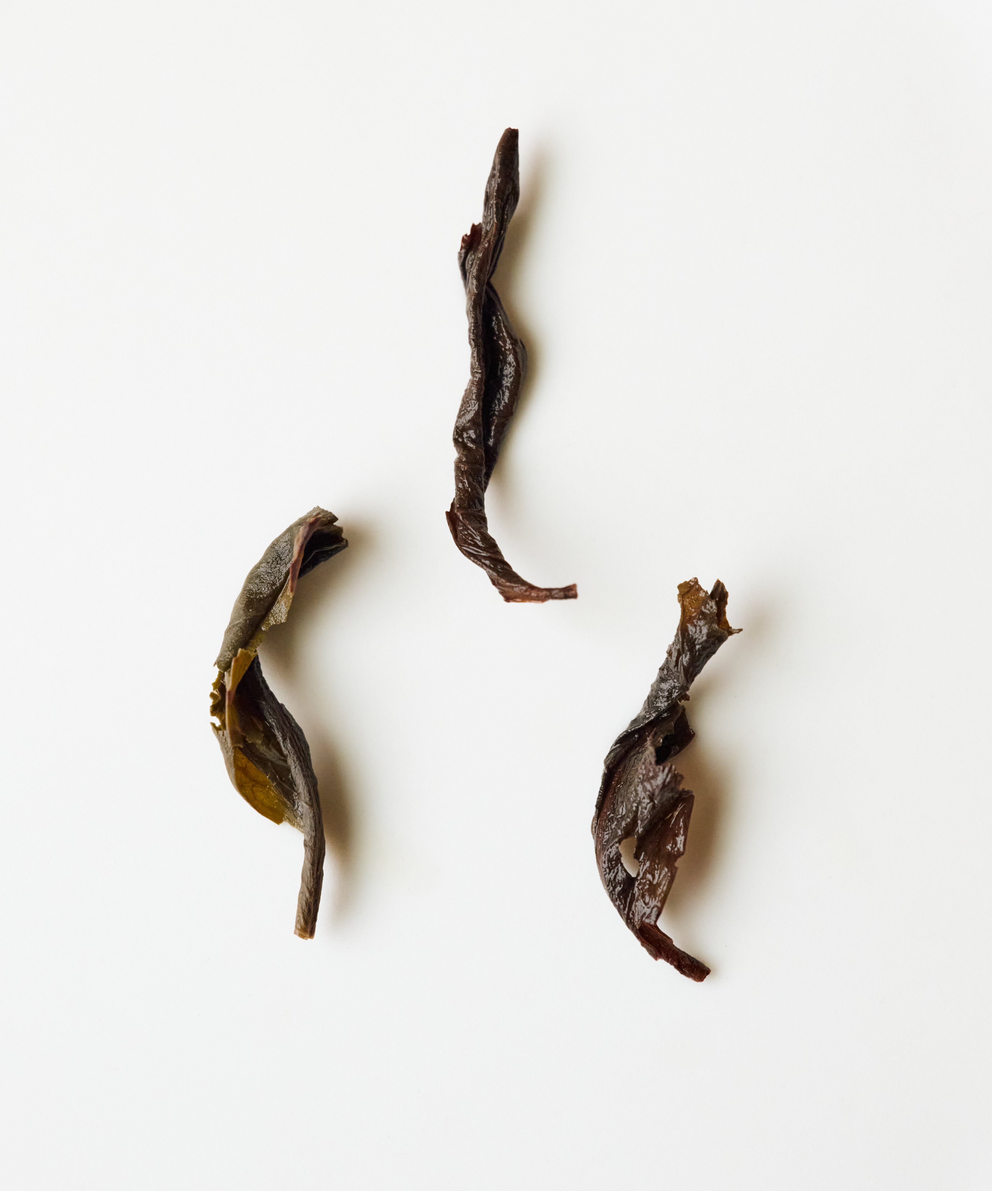 Organic Shuixian rock oolong by Fan Zhiqiang — regenerative farm Shuixian from Xingcun, Wuyishan, Fujian