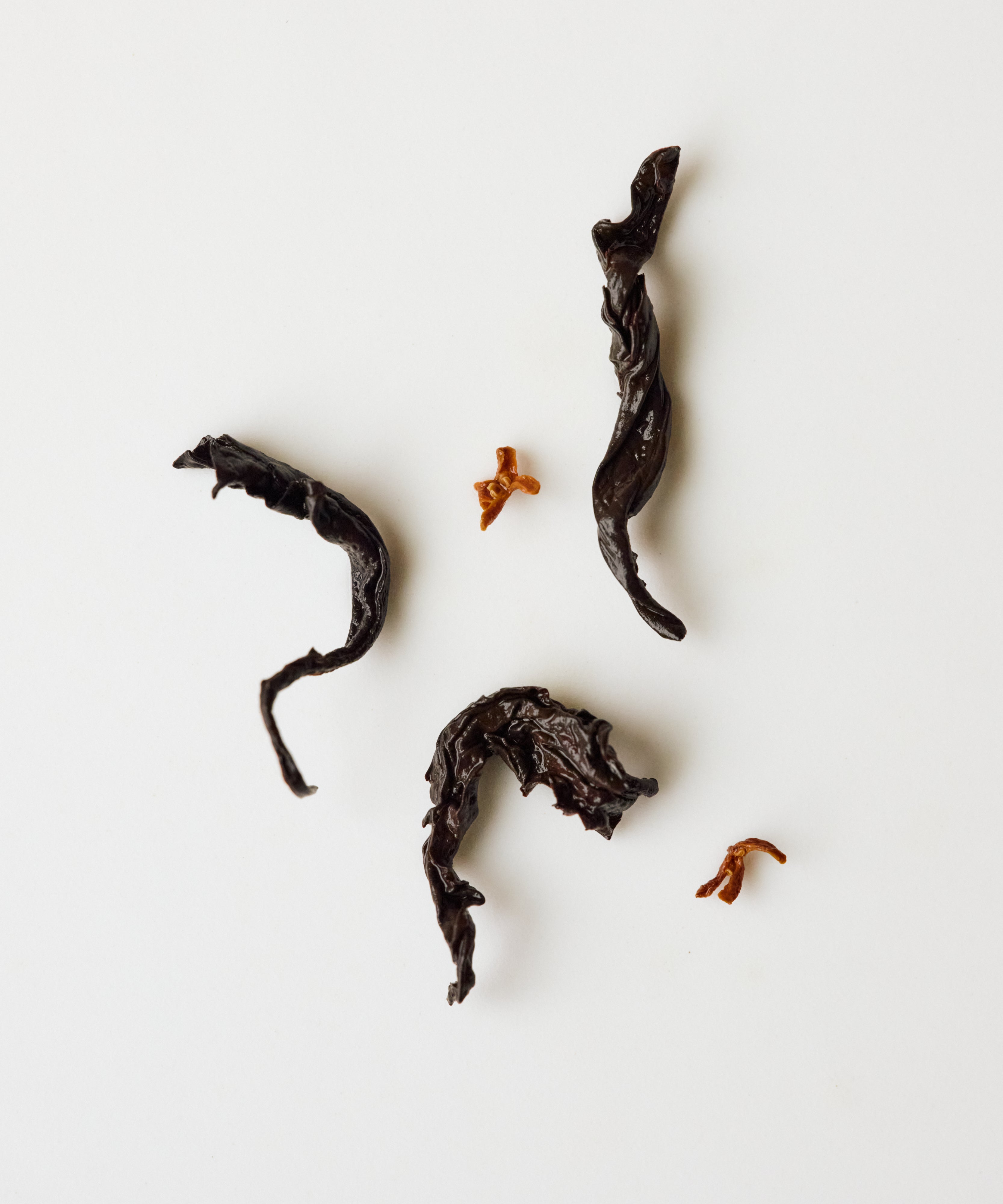 Osmanthus Laoshan Black by Mr. Tang — osmanthus-scented black tea from Laoshan, Qingdao, Shandong