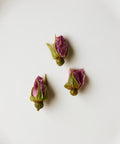 Red Rose buds from Suqian, Jiangsu — Pingyin varietal roses cultivated since the Tang Dynasty