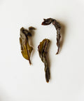 Semi Wild Old Grove Buddha's Hand from Yinshi Mountain — Mr. Liu's Yongchun oolong with milky sweetness and apricot