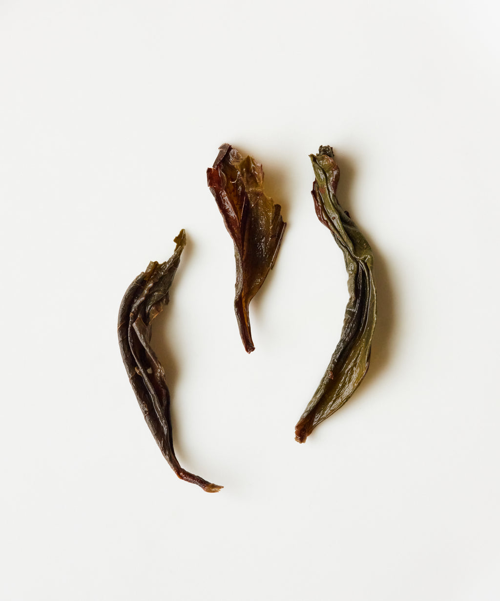 Semi Wild Old Grove Shuixian from Yinshi Mountain — Mr. Liu's charcoal roasted Yongchun oolong with orchid and pandan notes