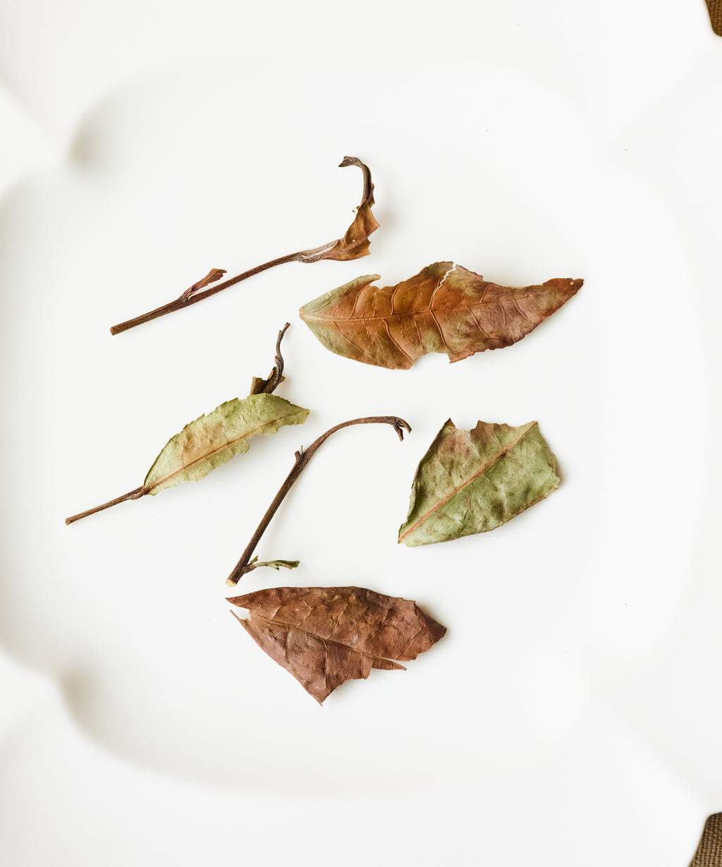 Shou Mei dry leaves — aged Fuding Dabai white tea from Fujian