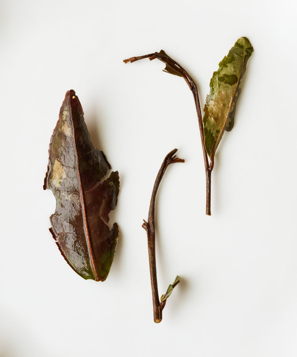 Shou Mei aged white tea from Fuding, Fujian — Fuding Dabai varietal, medicine and treasure with age