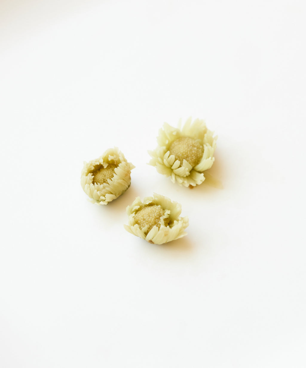 Silk Chrysanthemum Bud