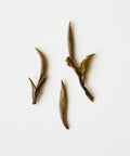 Wild Peony King by Mr. Fan — shade-dried white tea from wild Zhenghe Dabai trees at 3600 ft, Fujian