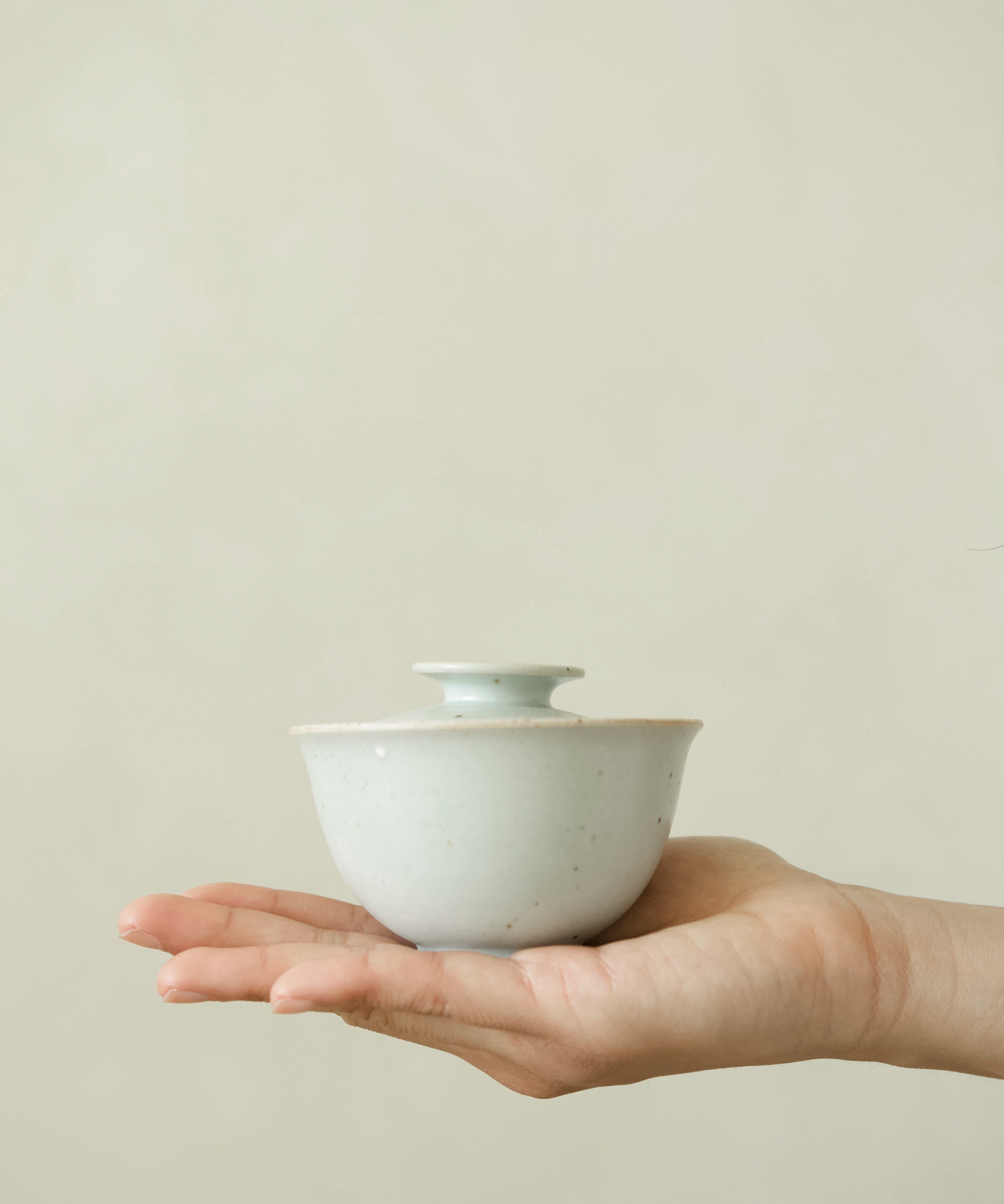 Gaiwan No. 10