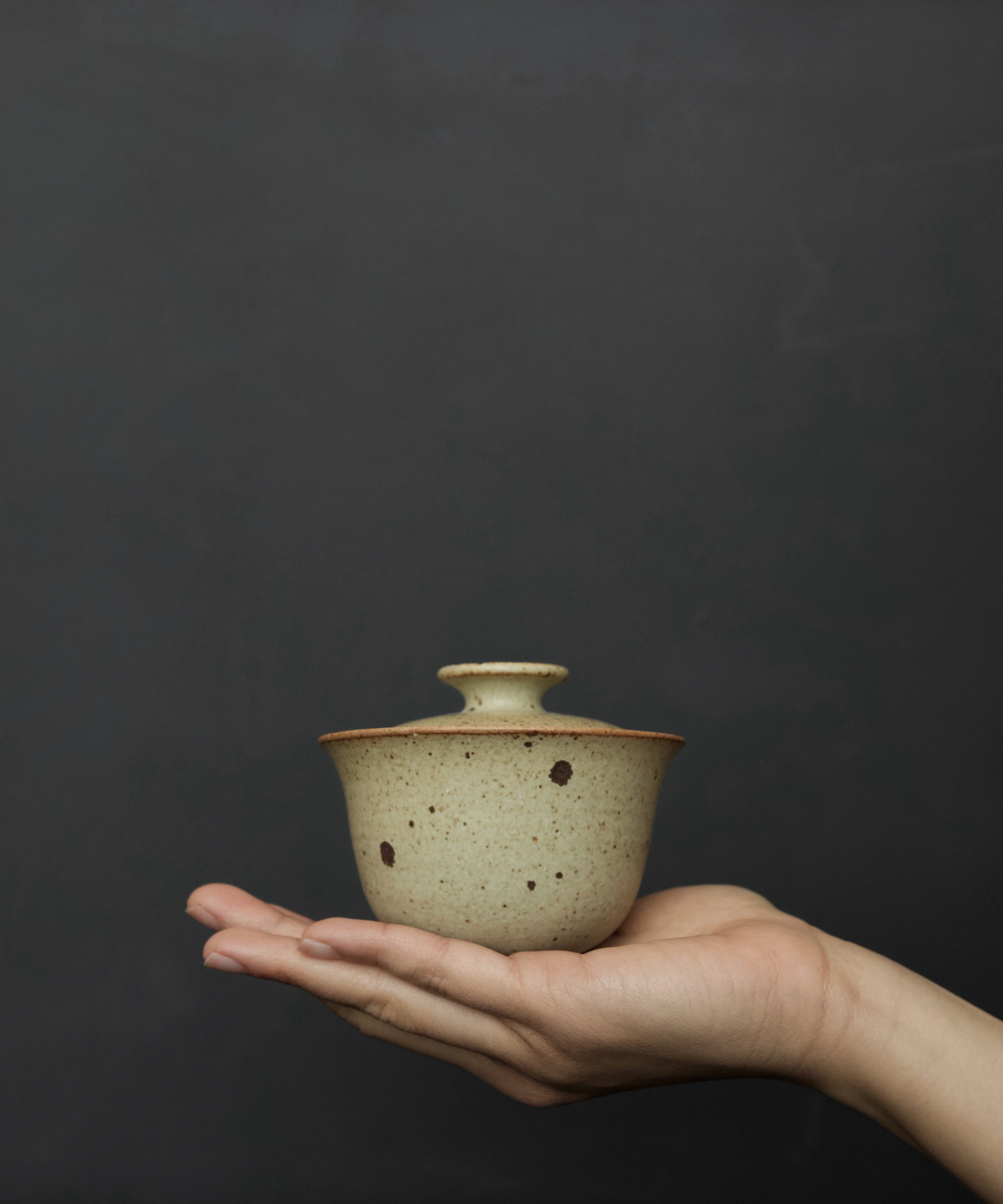 Gaiwan No. 13