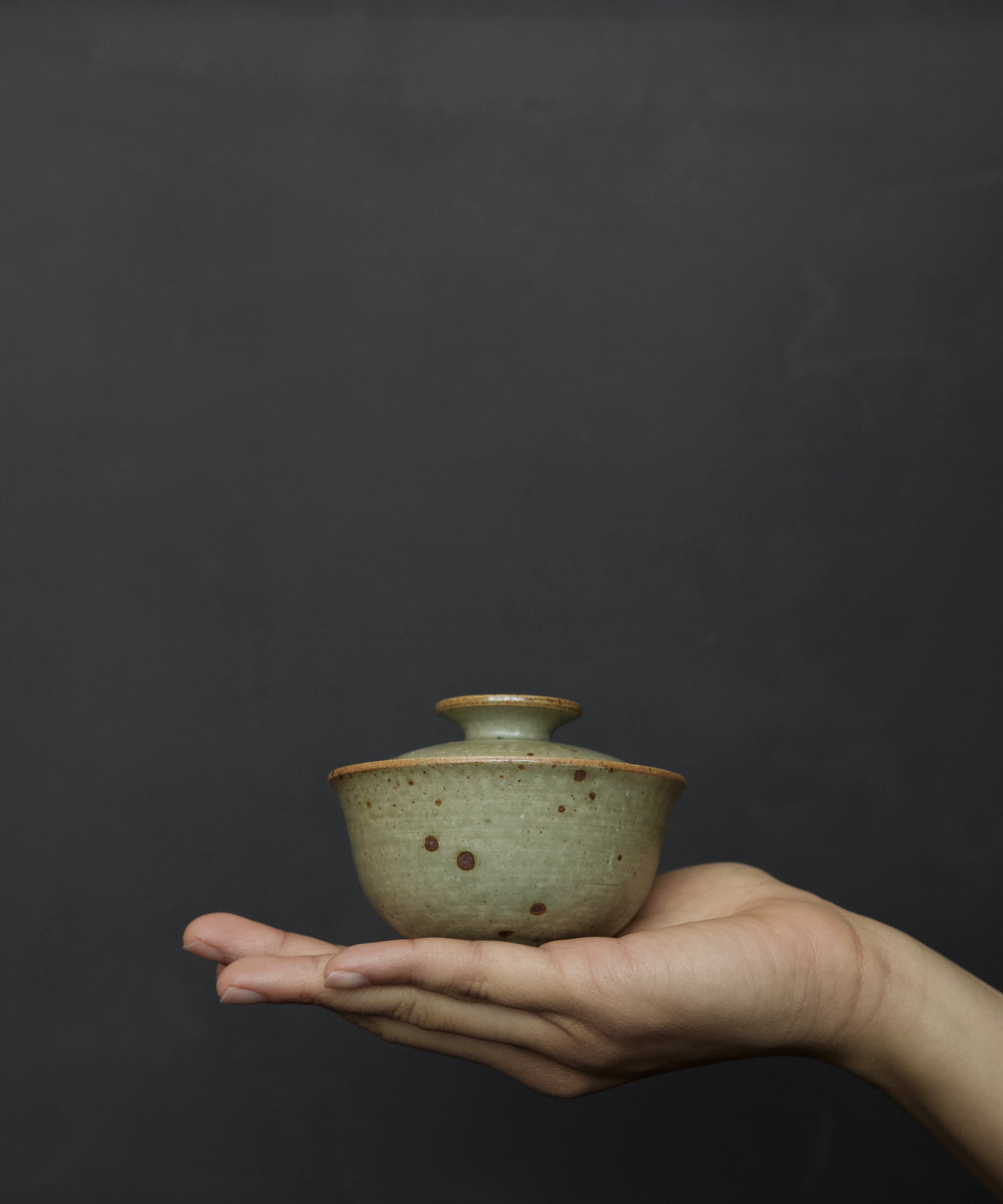 Gaiwan No. 14