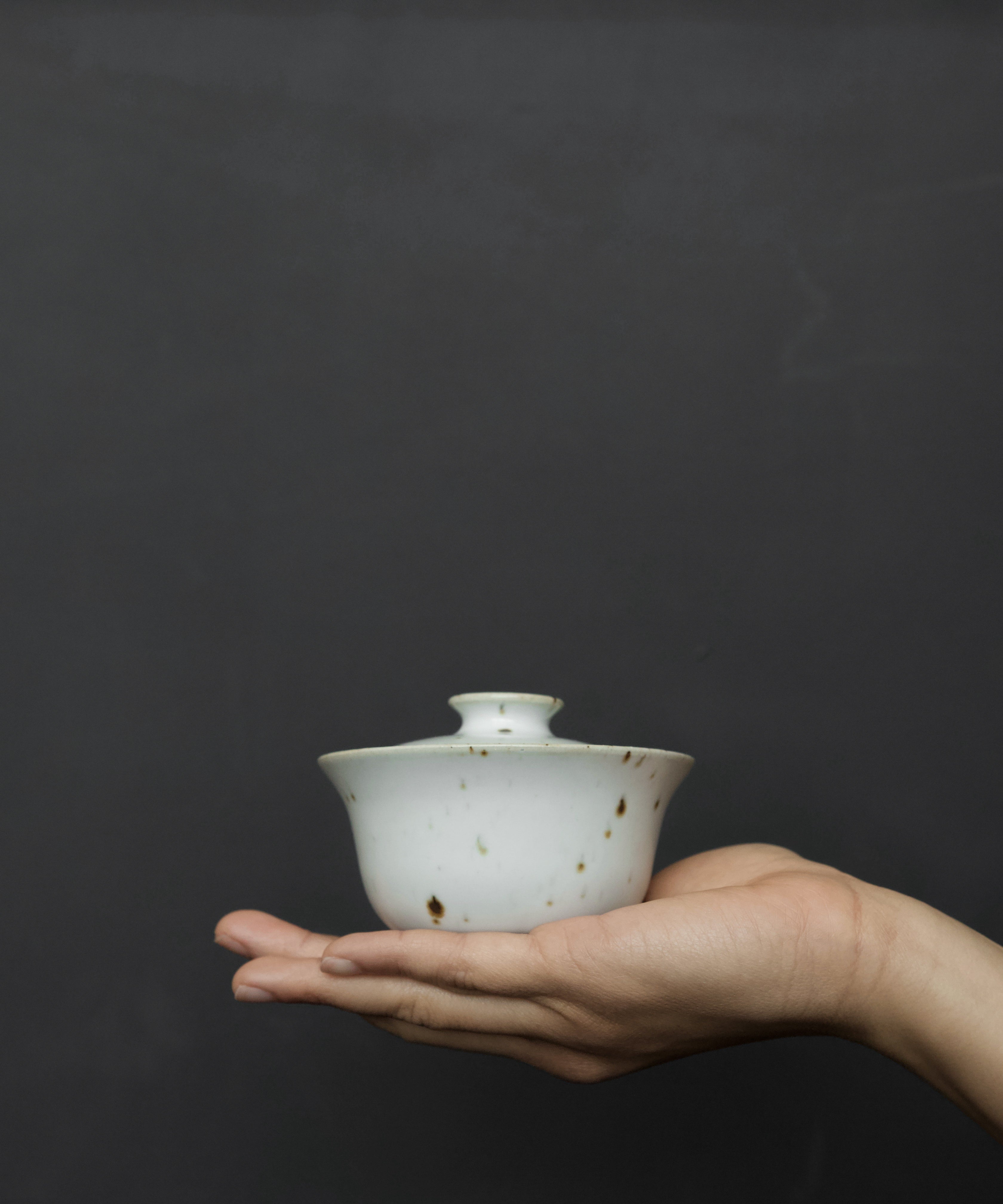 Gaiwan No. 15