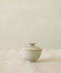 Gaiwan No. 17