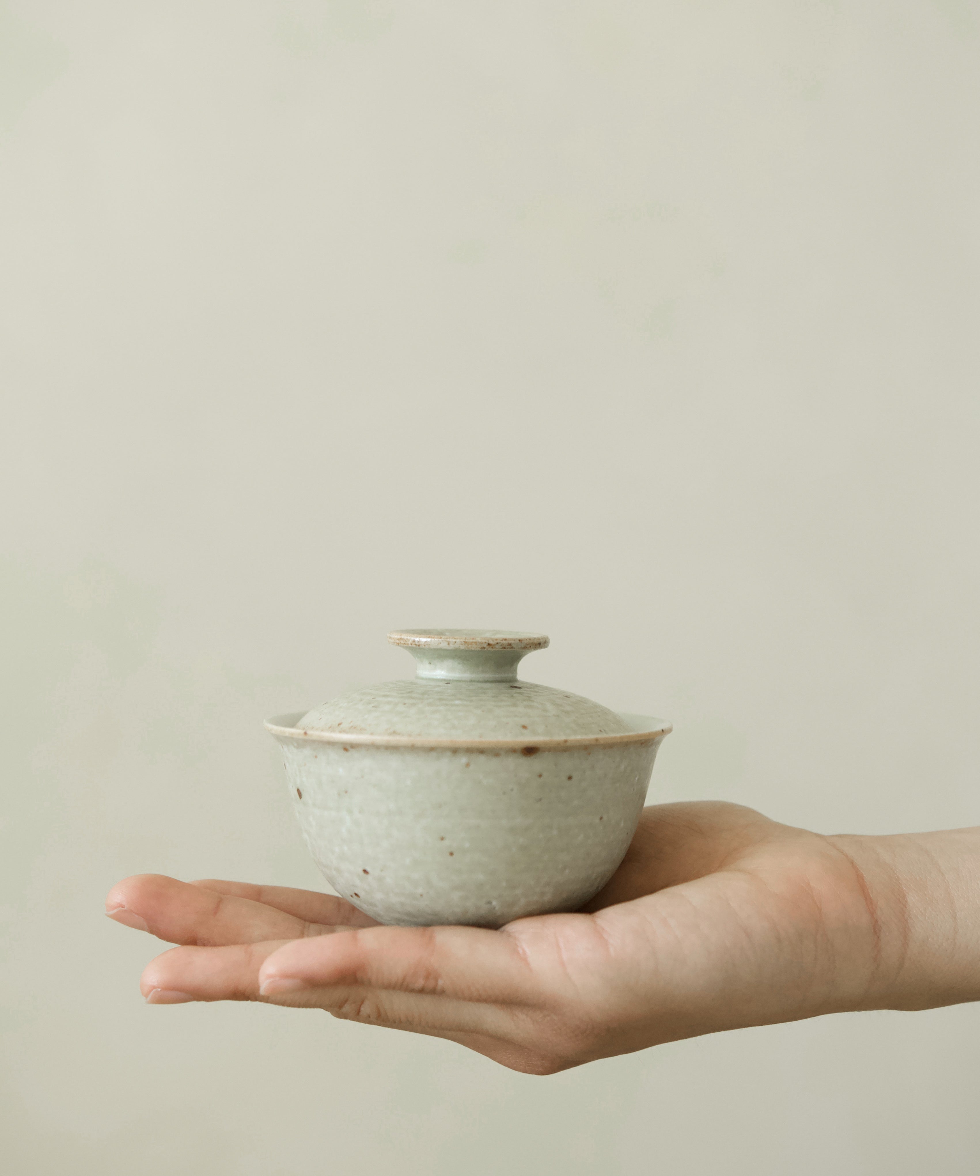 Gaiwan No. 17